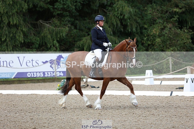 230813-095137-06166 - Cls 11 Elem Bronze Start to 10.50 break