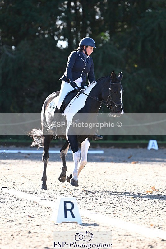 231110-104717-00208 - Cls 2 Prelim 17(a)Q