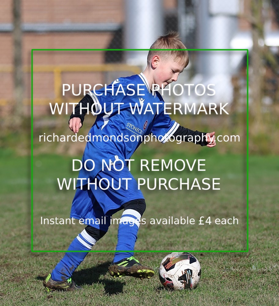 533A7756 - Ibis Under 8's (14/3/26)