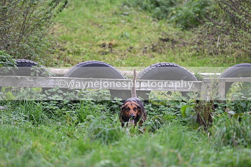 WJ7_8951 - Camera 1 only on this line