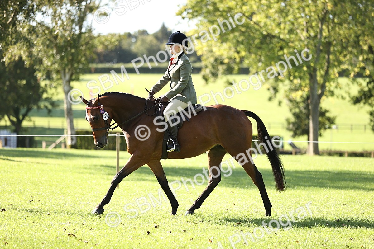 SBM_16914 - S2 - TSR Ridden Pony Showing