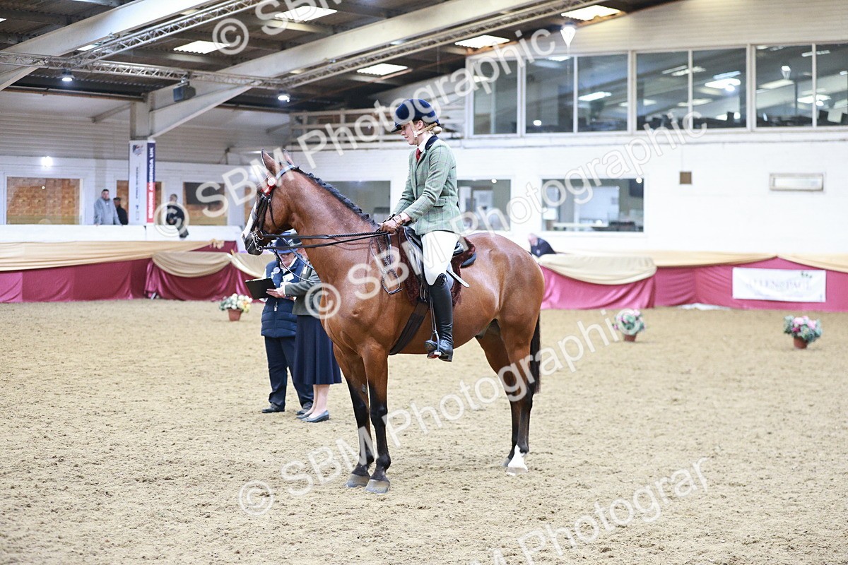 SBM_09042 - Class 12R - Regional Ridden Pre-Vet