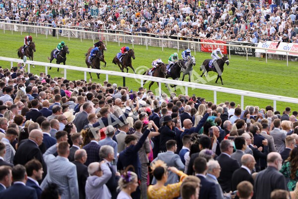 yr20082022r3-12 - Race 3 3.00pm Sky Bet City of York Stakes