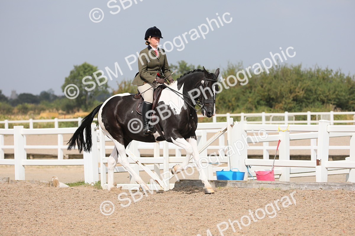 SBM_13348 - Class 308 Ridden Coloured Horse
