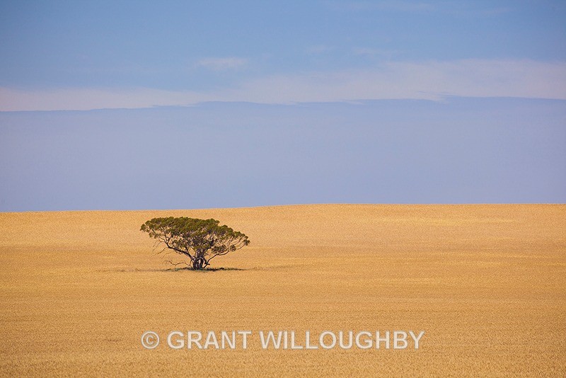  - Australia