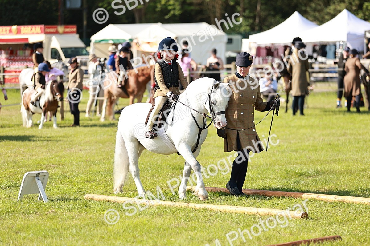 SBM_11295 - Class 106-107 - BSPS LIHS Working Sports Pony