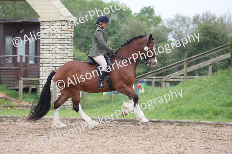 20260504-1108 - Class 14 - Cob and Hunter
