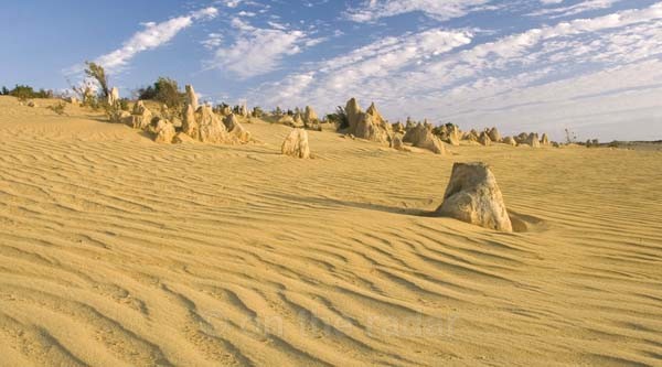 Pinnacles 7 - Fingers in the Desert