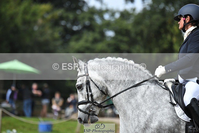 230812-104105-03440 - Cls 6 Novice Silver 10.30 to 11.55 break