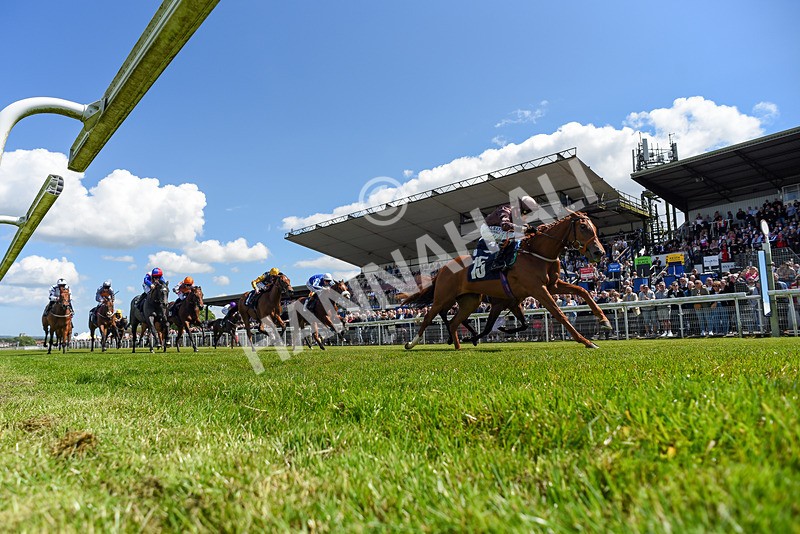 080624-Race 2-Perfect Part-0465 - Race 2