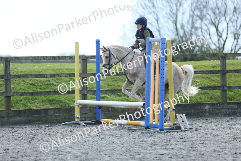 20260412-1769 - Show Jumping