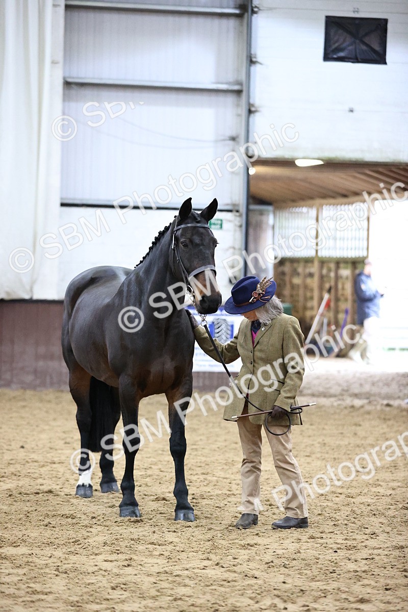 SBM_5677 - Class 40 - RESS In Hand Qualifier