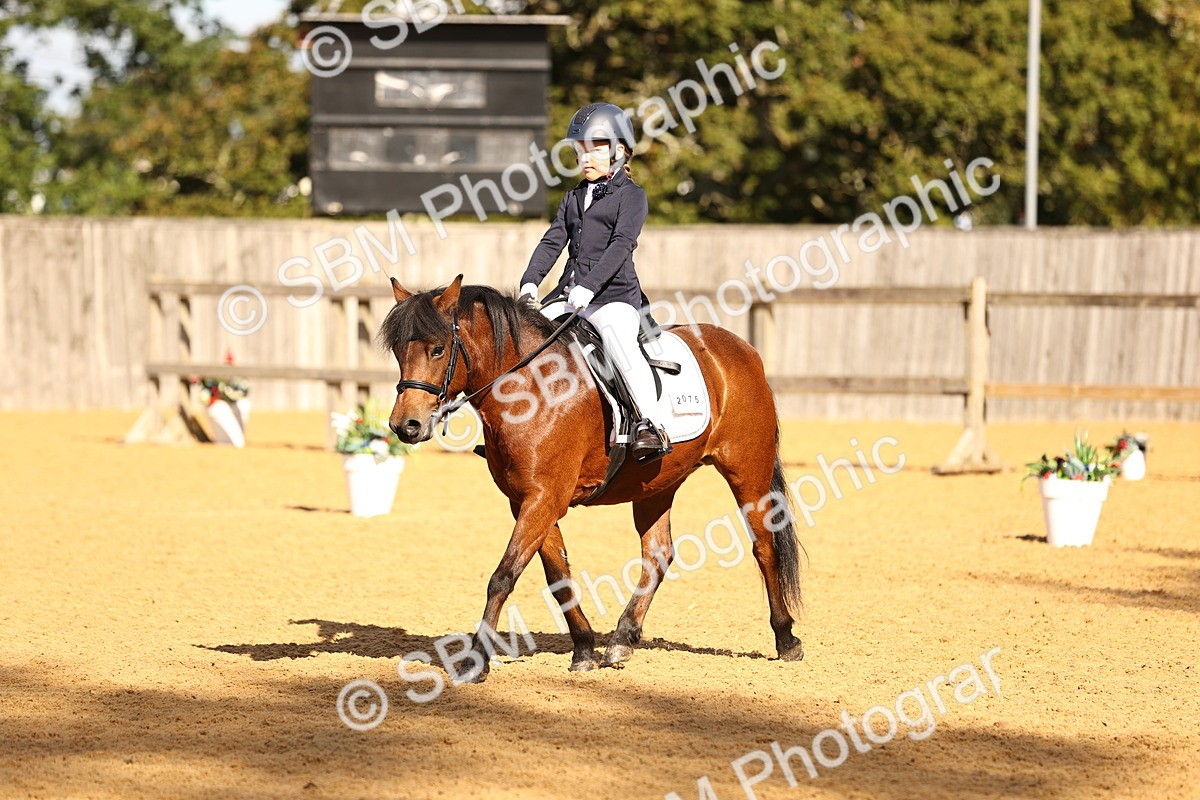 SBM_01500 - D1 - Small Tour Championship
