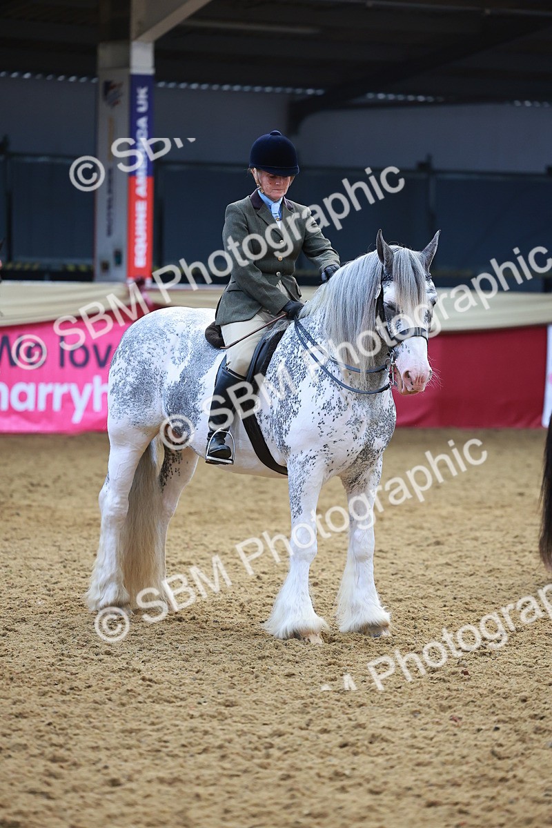 SBM_12654 - Class 103 - HOYS Veteran Qualifier - Ridden Pre Vet