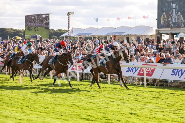 240824-Race 7-Sir Busker-9249 - Race 7 5.20pm Sky Bet Finale Handicap