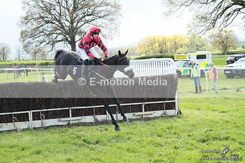 PtP 180426 1161 - Worcestershire Hunt PtP Chaddesley Corbett 18/04/26
