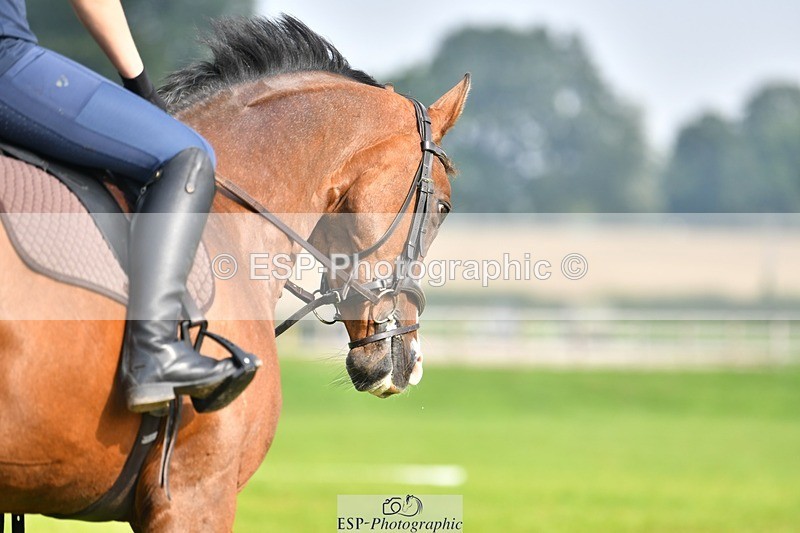 230817-093128-02579 - Abbie's 1st Group - Dressage