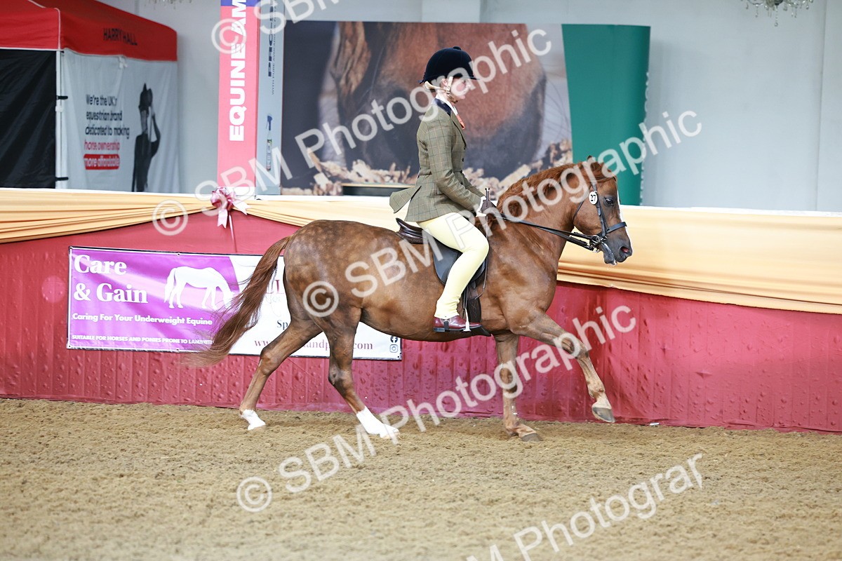 SBM_11825 - Class 102 - Equitation (Best Rider) Adult