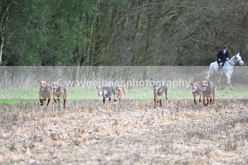 WJ6_9418 - Line Four