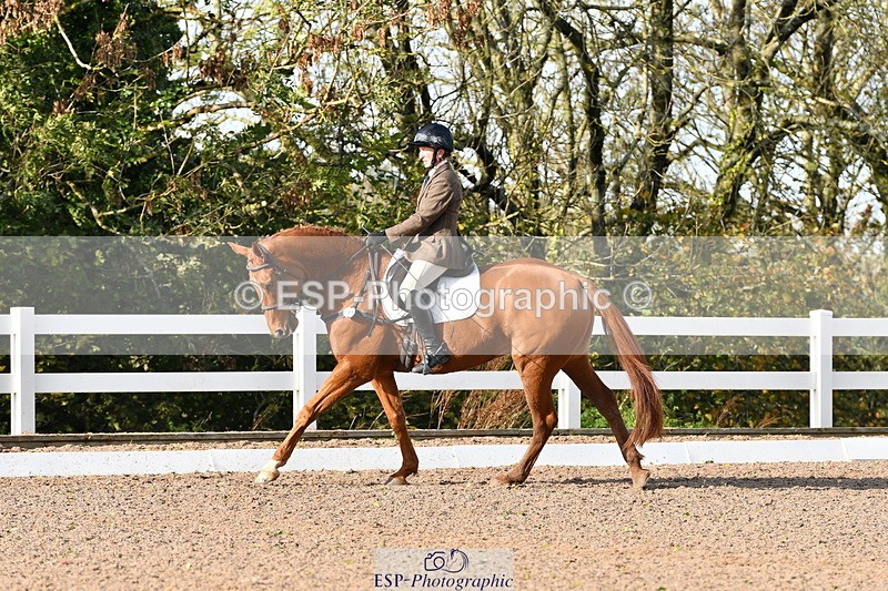 231104A-121510-00399 - Cls 7 Elementary 43