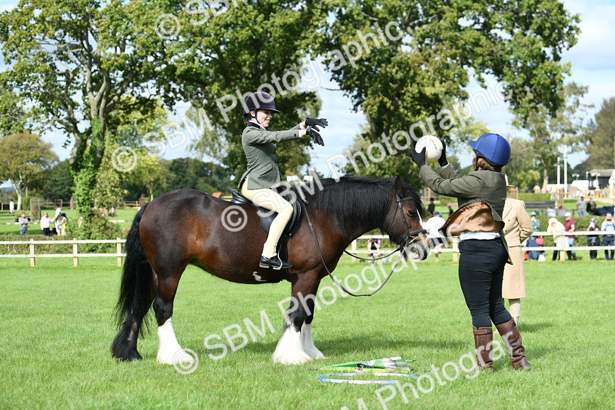 SBM_46923 - S12 - Family Horse & Pony