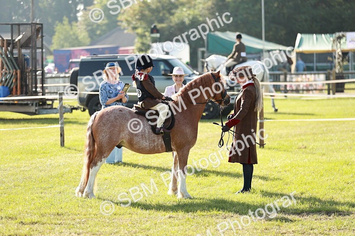 SBM_11188 - Class 106-107 - BSPS LIHS Working Sports Pony