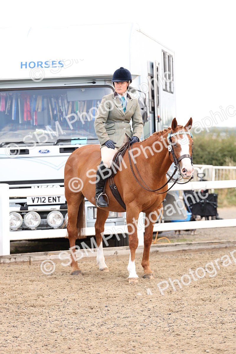 SBM_04213 - Class 54 - Riding Club Horse/Pony