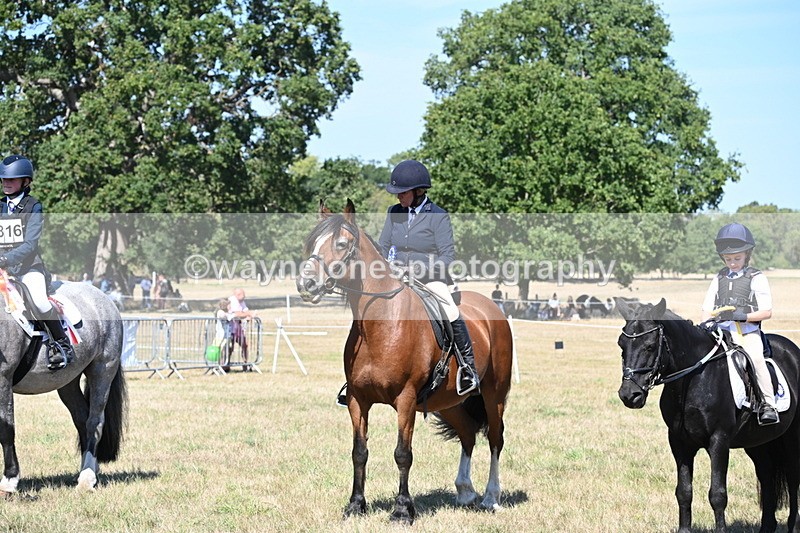 WJ6_8484 - Class 37a Best Loan Pony Ridden