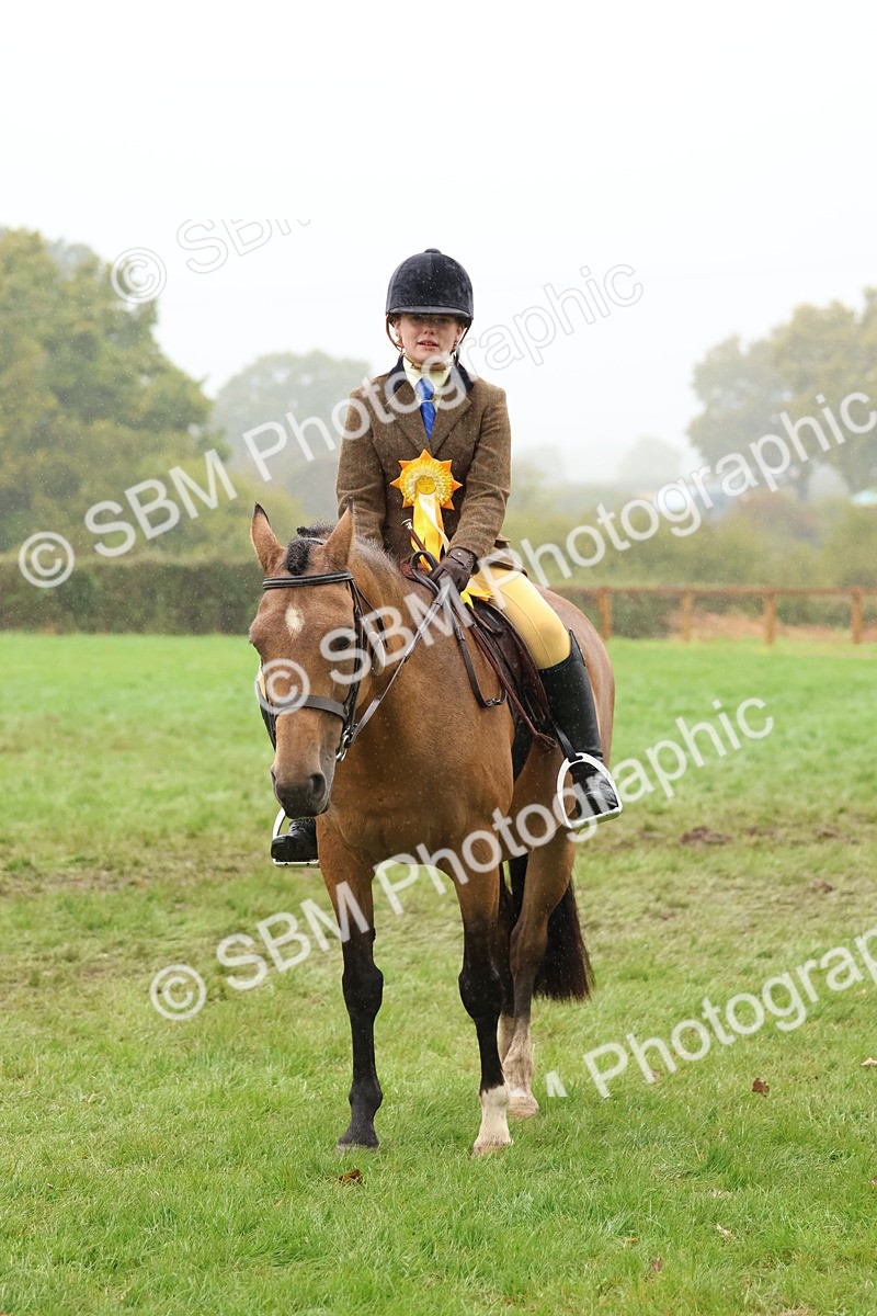 SBM_73084 - S63 Show Pony & Show Hunter Pony Ridden