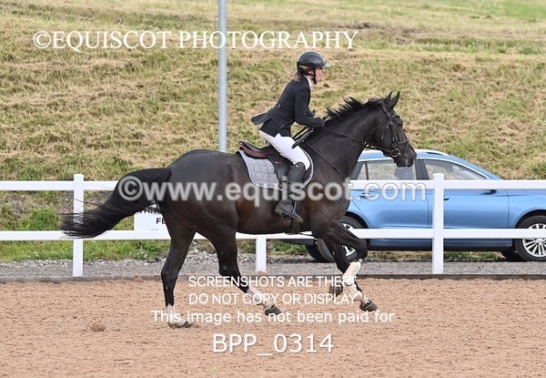 BPP_0314 - CLASS 26 SUN 5 Year Old Non Qualifier