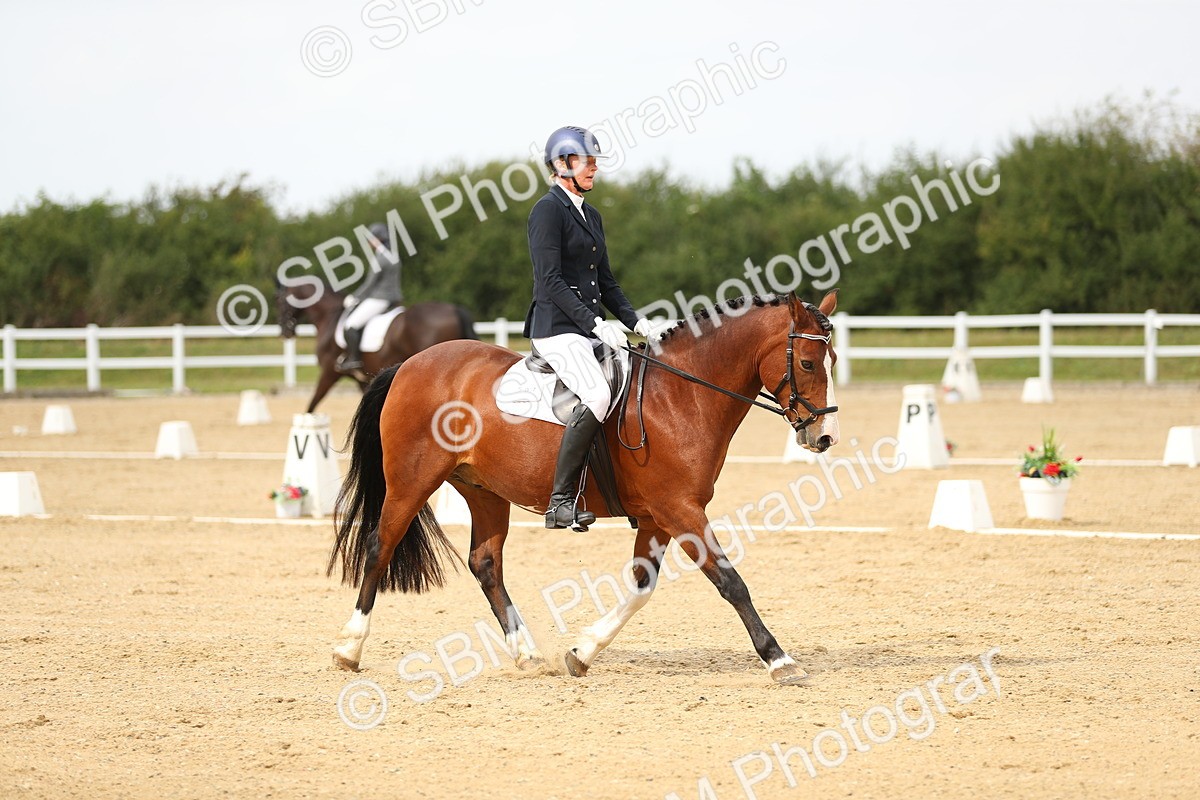 SBM_017656 - Class 13 - Novice 23 - 14.27-15.16