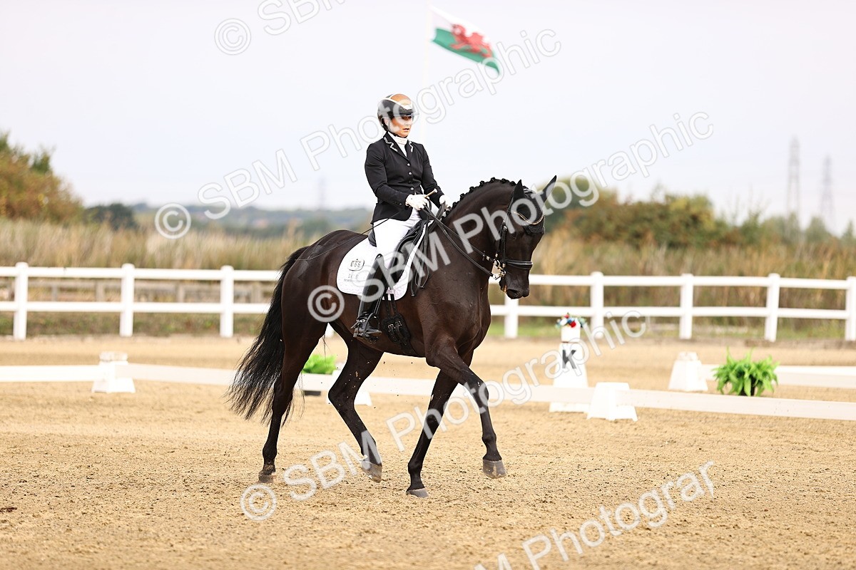 SBM_011617 - Class 1 - Medium 5