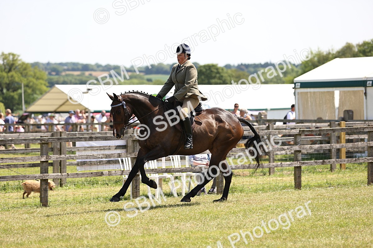 SBM_14915 - Class 78 - LIHS BSHA Open Racehorse & Show Horse