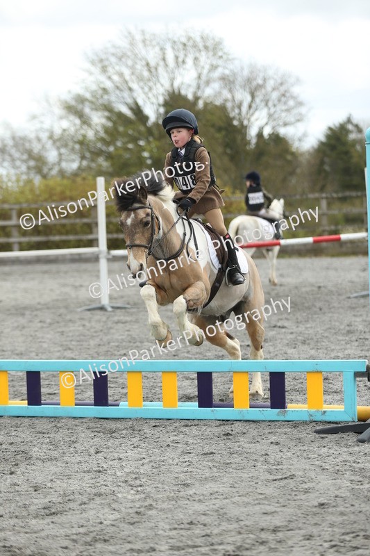 20260412-0643 - Show Jumping