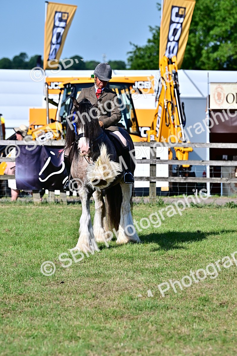 SBM_19569 - Class 101-102 - BSPS LIHS Performance Coloured Horse/Pony