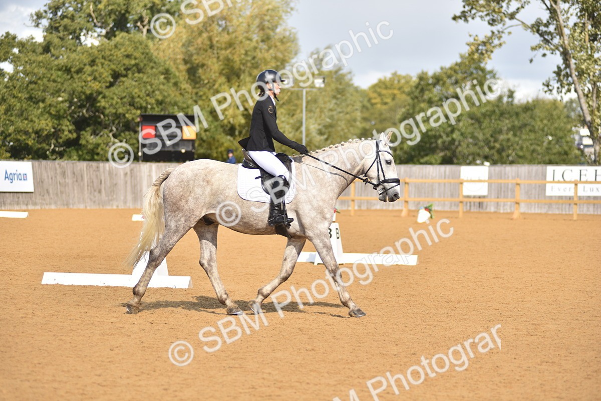 SBM_03077 - D4 - Small Tour Championship Intro 4