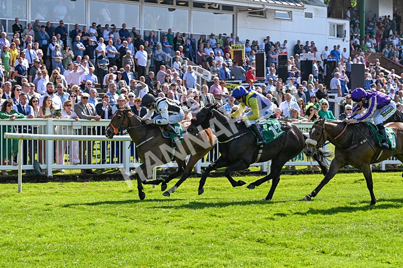 180524-Race 3-Burning Cash-9400 - Race 3