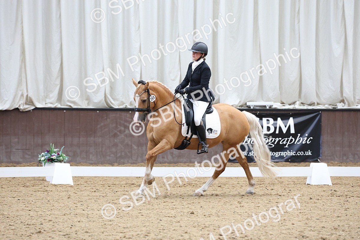 SBM_007541 - Class 23 - Medium FSM Bronze