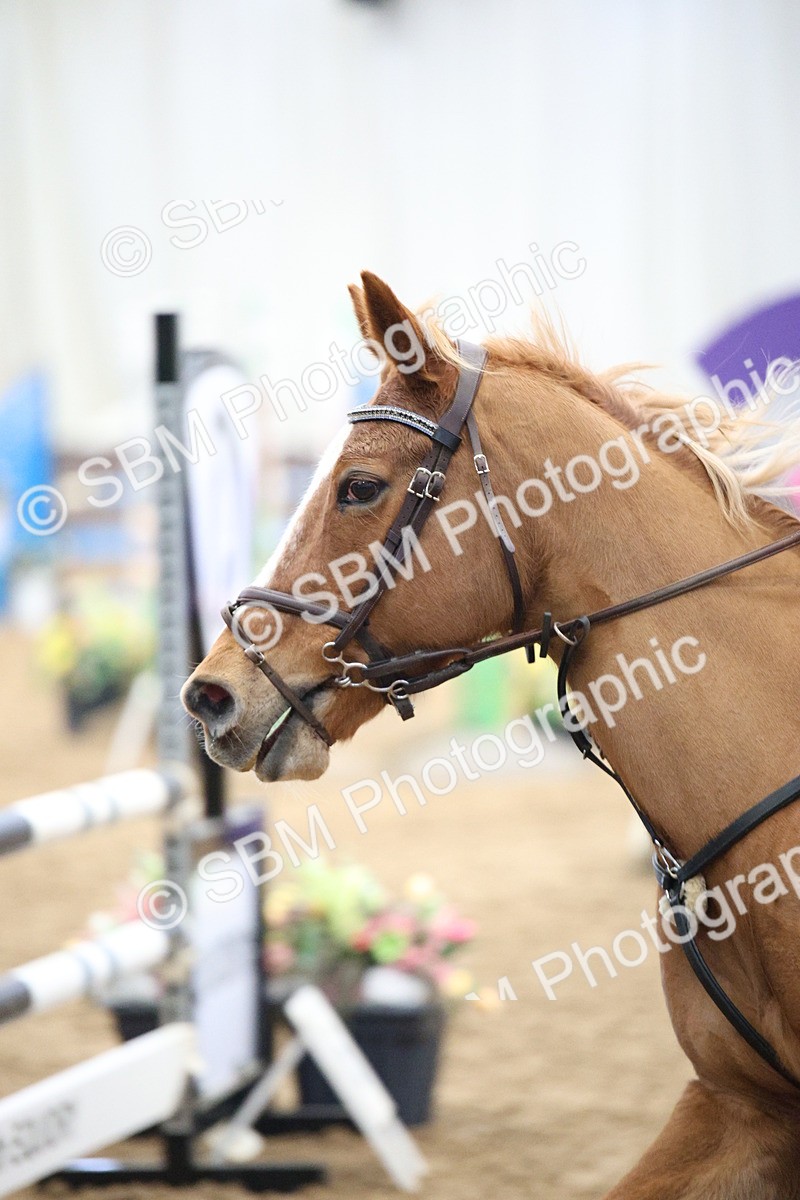 5K7A3211 - Class -1 - Equissage Pulse Senior BritiNovice/ 90cm Open