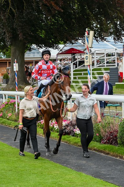270724-Race 6-Ziggy-9882 - Race 6 5.10pm Sky Bet, For The Fans Handicap