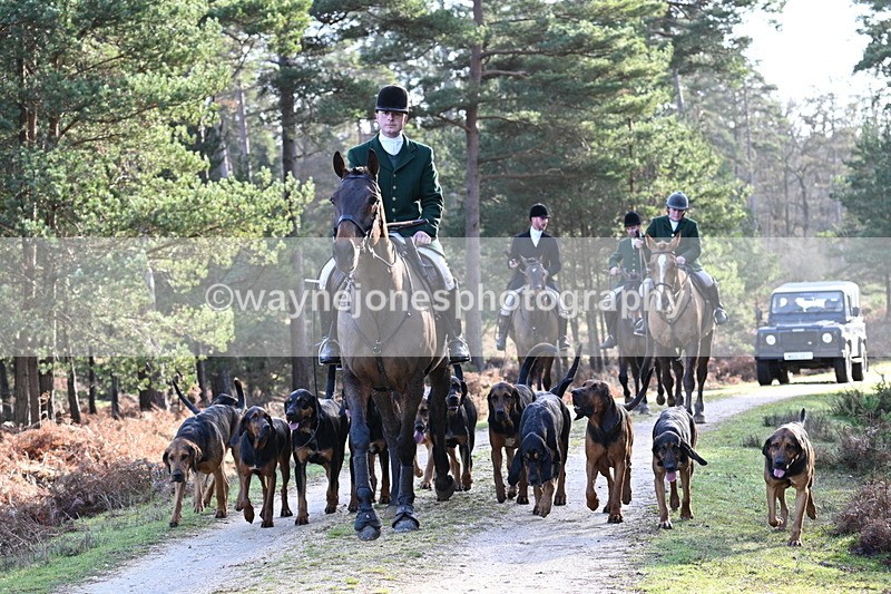 WJ7_7704 - Line 3 (no line 4 or 5)