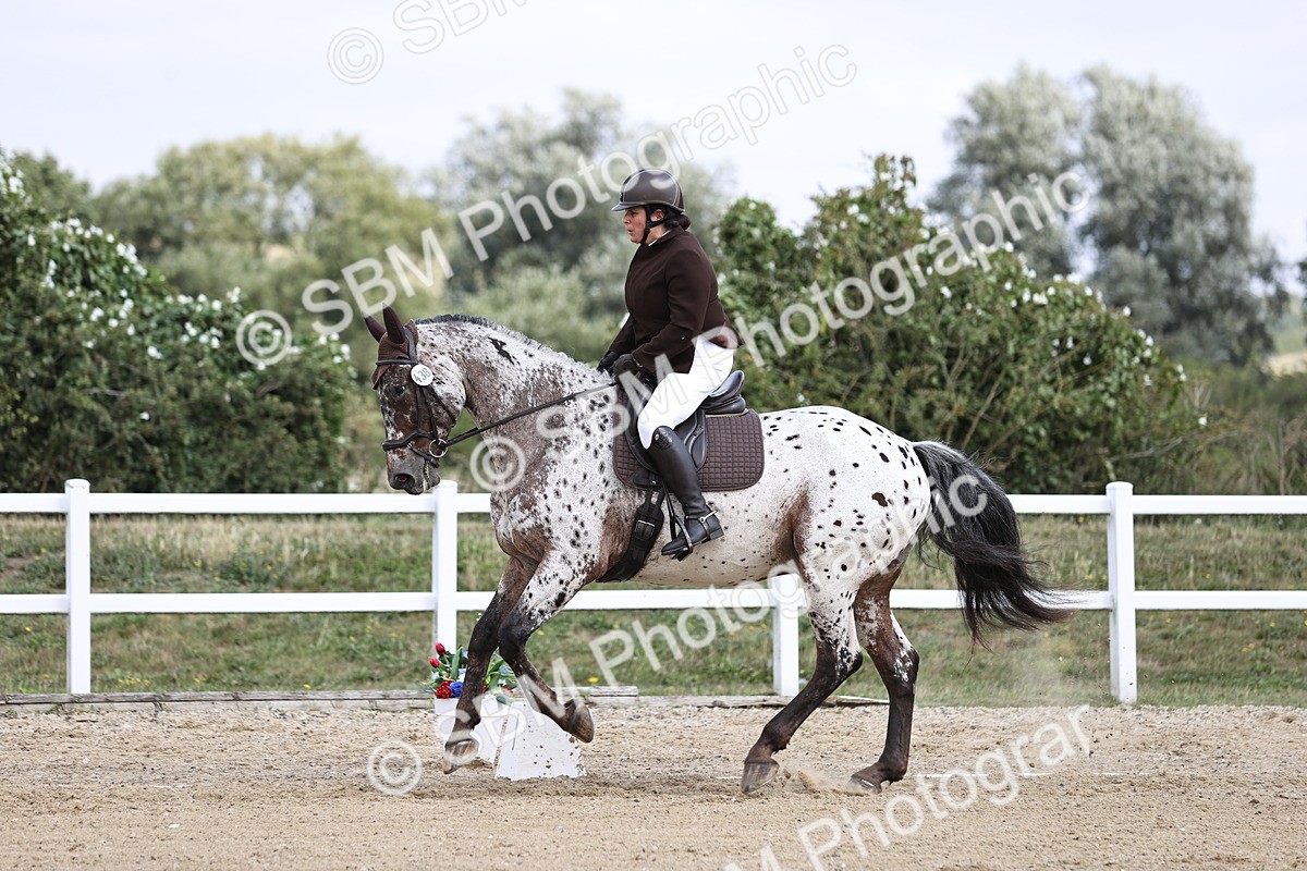 SBM_016844 - Class 14 Novice 23 - 11.53-12.56