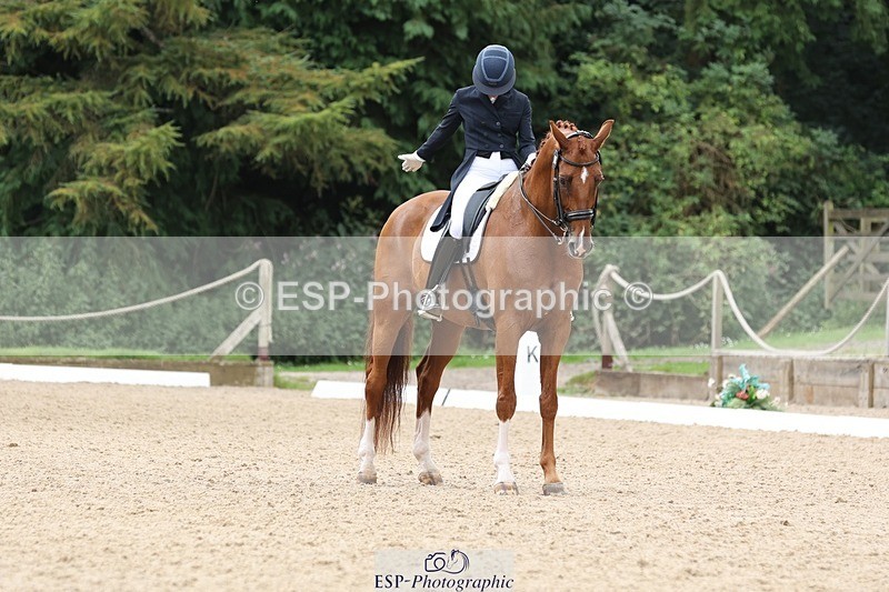 240810-133029-03324 - 188-Amanda.Towle.Shaw-Rockwood.Virtue