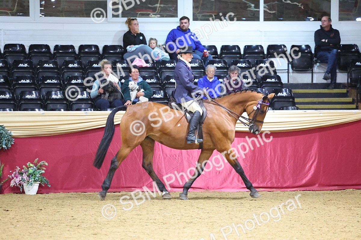 SBM_18890 - Class F Grass Roots Champ
