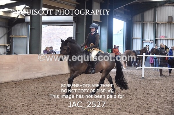 JAC_2527 - CLASS 3 Intermediate Working Hunter