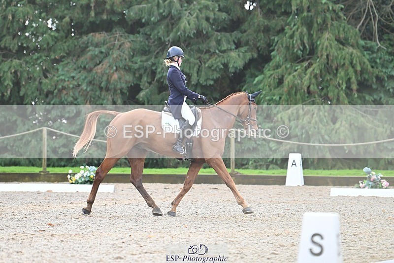 231019-122017-03070 - 113-RIVERSTOWN.ROYAL-Georgie.Frow-DR