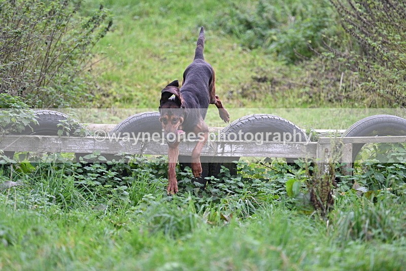 WJ7_8968 - Camera 1 only on this line