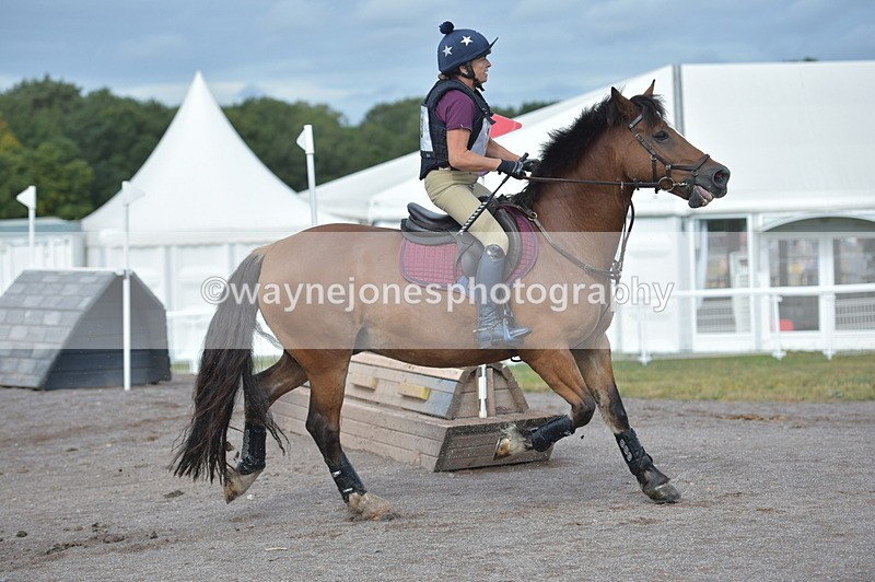 NGP_1163 - XC Time 10:22 to 10:35