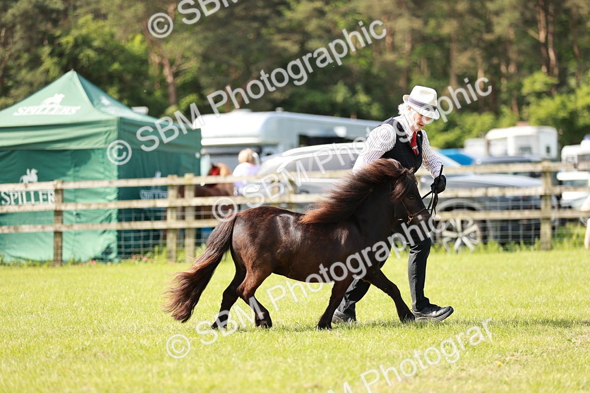 SBM_01886 - Class 14-23 - Mountain & Moorland In Hand Non Welsh