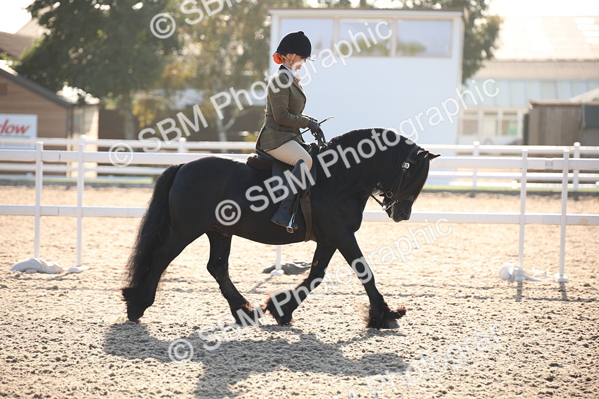 SBM_00614 - Class 14 Ridden M&M Wildcard